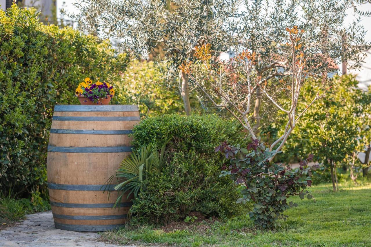 Wine Garden Holiday Home PUY 외부 사진